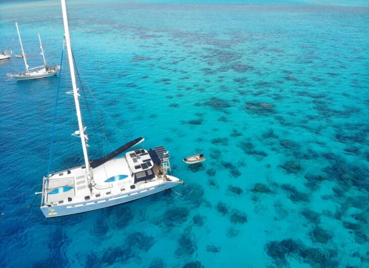 Coral garden near the island of Raiatea