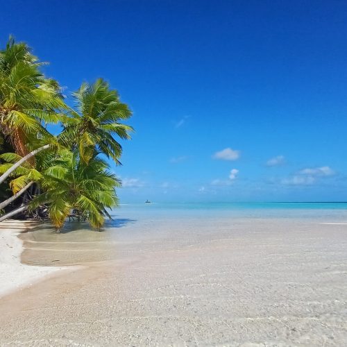 White sandy beach lined with palm trees