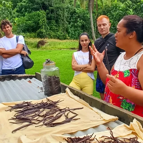 A guide explaining about vanilla farms in french polynesia to guests